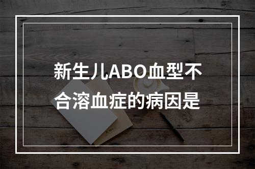 新生儿ABO血型不合溶血症的病因是