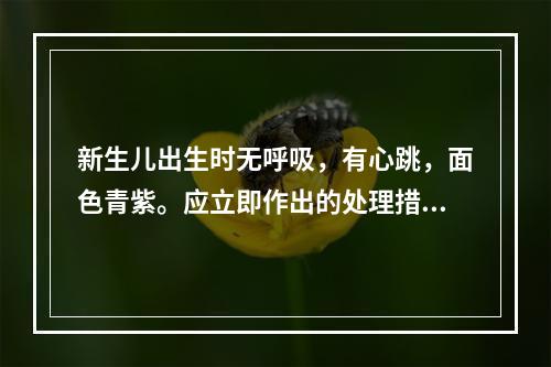 新生儿出生时无呼吸，有心跳，面色青紫。应立即作出的处理措施是