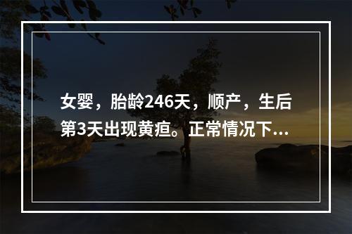 女婴，胎龄246天，顺产，生后第3天出现黄疸。正常情况下，该