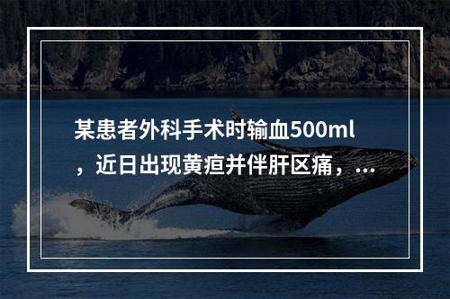 某患者外科手术时输血500ml，近日出现黄疸并伴肝区痛，食欲