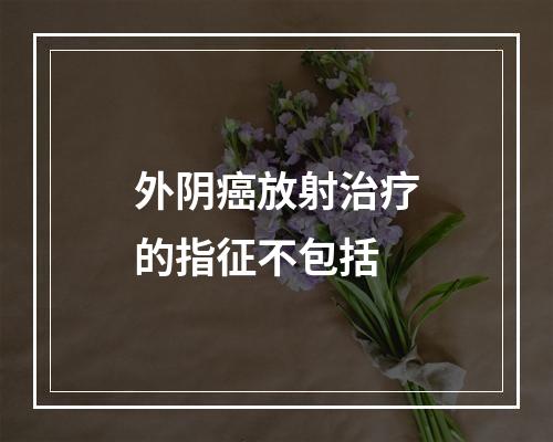 外阴癌放射治疗的指征不包括