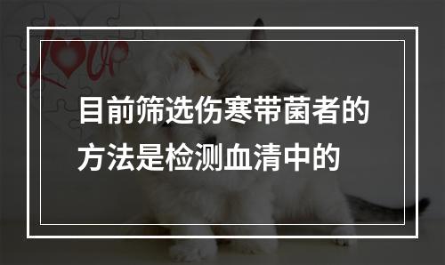 目前筛选伤寒带菌者的方法是检测血清中的