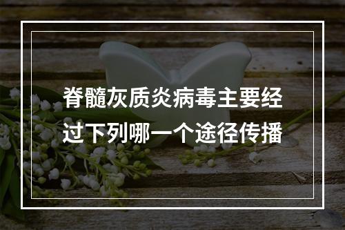 脊髓灰质炎病毒主要经过下列哪一个途径传播