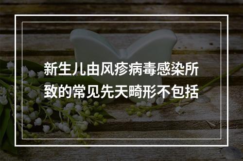 新生儿由风疹病毒感染所致的常见先天畸形不包括