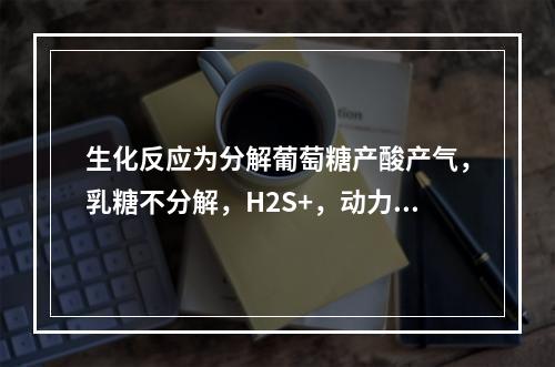 生化反应为分解葡萄糖产酸产气，乳糖不分解，H2S+，动力+，