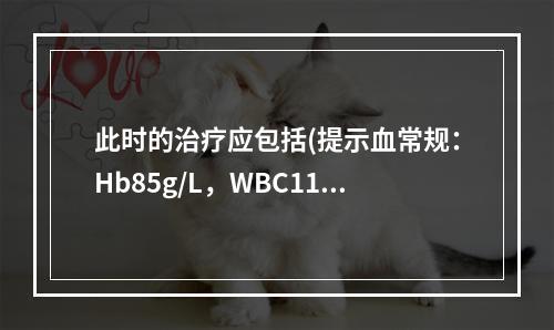 此时的治疗应包括(提示血常规：Hb85g/L，WBC11×1