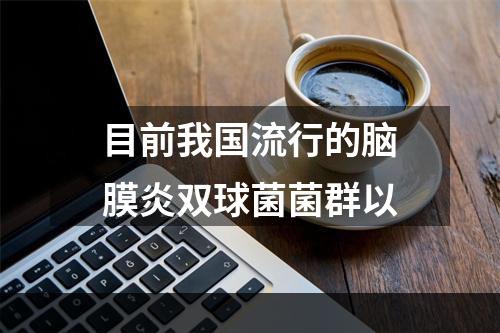 目前我国流行的脑膜炎双球菌菌群以