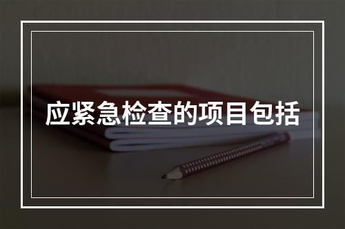 应紧急检查的项目包括