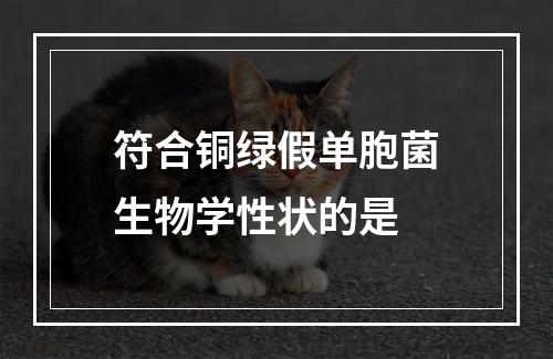 符合铜绿假单胞菌生物学性状的是