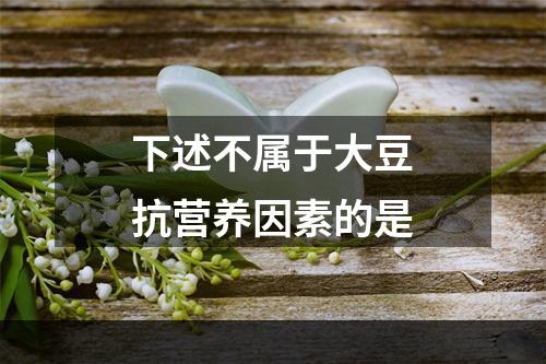 下述不属于大豆抗营养因素的是