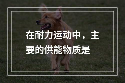 在耐力运动中，主要的供能物质是