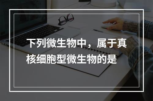 下列微生物中，属于真核细胞型微生物的是