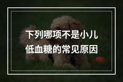 下列哪项不是小儿低血糖的常见原因