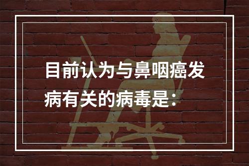 目前认为与鼻咽癌发病有关的病毒是：