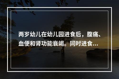 两岁幼儿在幼儿园进食后，腹痛、血便和肾功能衰竭。同时进食儿童