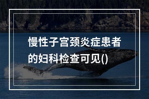 慢性子宫颈炎症患者的妇科检查可见()