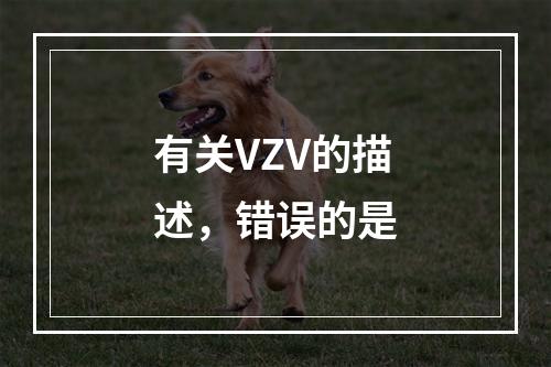 有关VZV的描述，错误的是