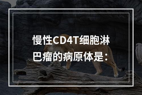 慢性CD4T细胞淋巴瘤的病原体是：