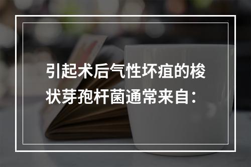 引起术后气性坏疽的梭状芽孢杆菌通常来自：