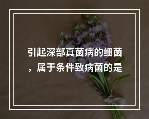 引起深部真菌病的细菌，属于条件致病菌的是