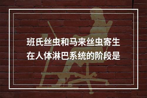 班氏丝虫和马来丝虫寄生在人体淋巴系统的阶段是