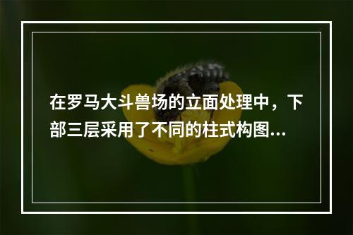 在罗马大斗兽场的立面处理中，下部三层采用了不同的柱式构图，