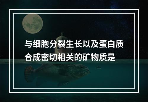 与细胞分裂生长以及蛋白质合成密切相关的矿物质是