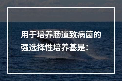 用于培养肠道致病菌的强选择性培养基是：