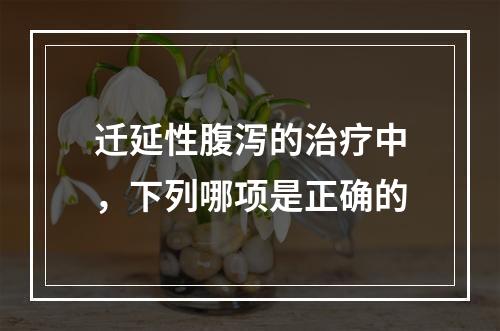 迁延性腹泻的治疗中，下列哪项是正确的