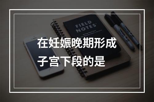 在妊娠晚期形成子宫下段的是