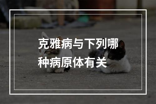 克雅病与下列哪种病原体有关