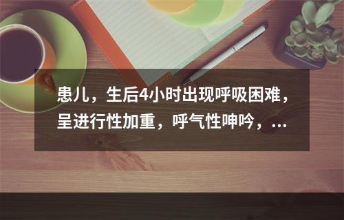 患儿，生后4小时出现呼吸困难，呈进行性加重，呼气性呻吟，出现