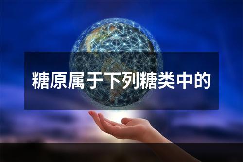 糖原属于下列糖类中的