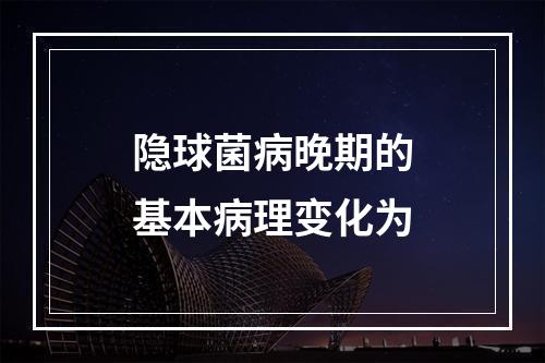 隐球菌病晚期的基本病理变化为