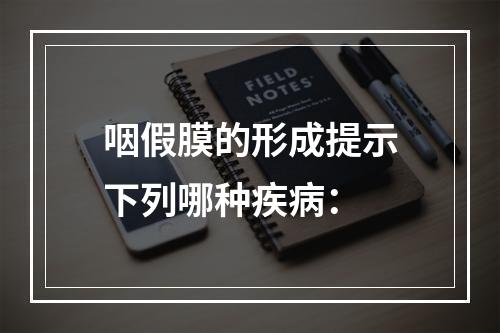 咽假膜的形成提示下列哪种疾病：