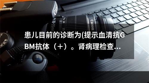 患儿目前的诊断为(提示血清抗GBM抗体（＋）。肾病理检查：光