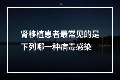 肾移植患者最常见的是下列哪一种病毒感染