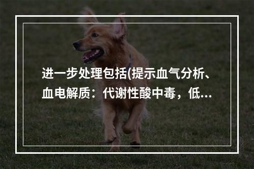 进一步处理包括(提示血气分析、血电解质：代谢性酸中毒，低血钠