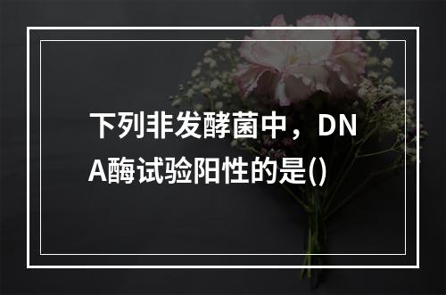 下列非发酵菌中，DNA酶试验阳性的是()