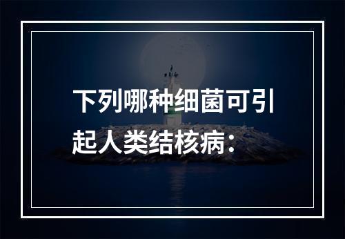 下列哪种细菌可引起人类结核病：