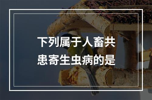 下列属于人畜共患寄生虫病的是