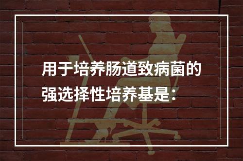 用于培养肠道致病菌的强选择性培养基是：