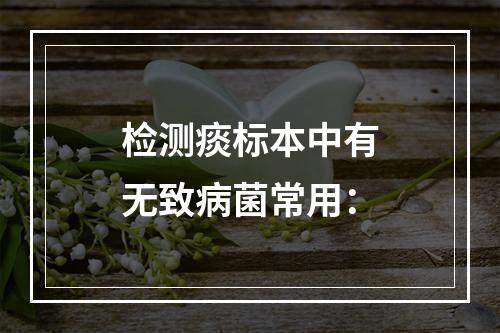 检测痰标本中有无致病菌常用：