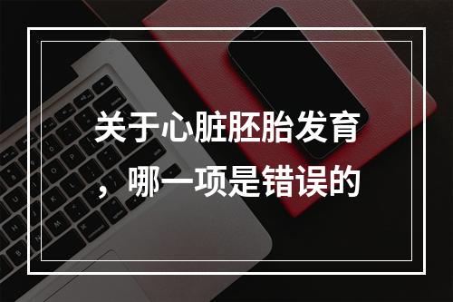 关于心脏胚胎发育，哪一项是错误的