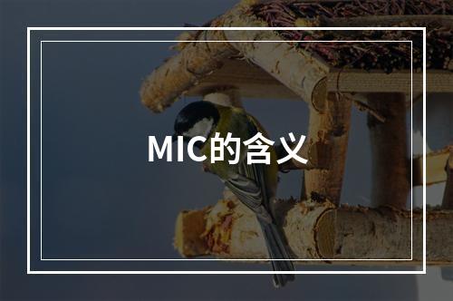 MIC的含义