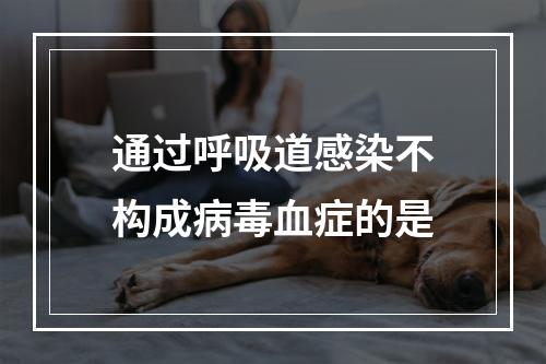 通过呼吸道感染不构成病毒血症的是