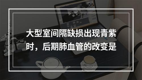 大型室间隔缺损出现青紫时，后期肺血管的改变是