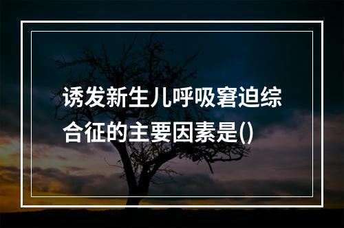 诱发新生儿呼吸窘迫综合征的主要因素是()