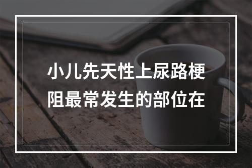 小儿先天性上尿路梗阻最常发生的部位在