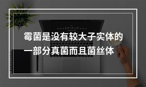 霉菌是没有较大子实体的一部分真菌而且菌丝体